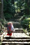 神々が御座す聖域～　語り部とともに歩く「世界遺産・熊野古道」