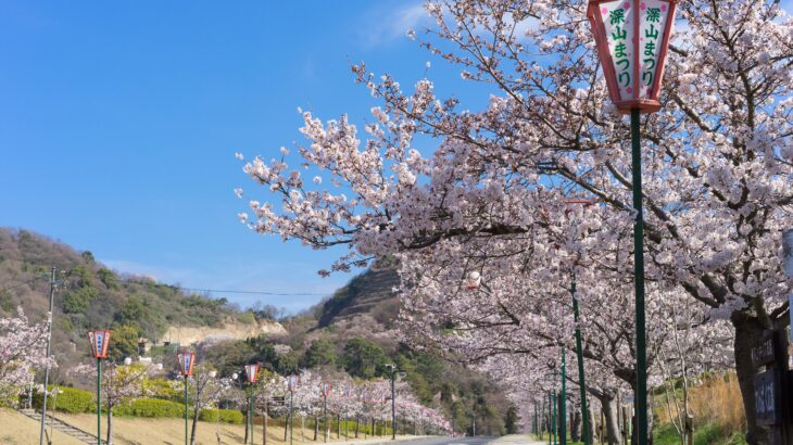 春爛漫 桜のみやま公園・イギリス庭園と備中国分寺