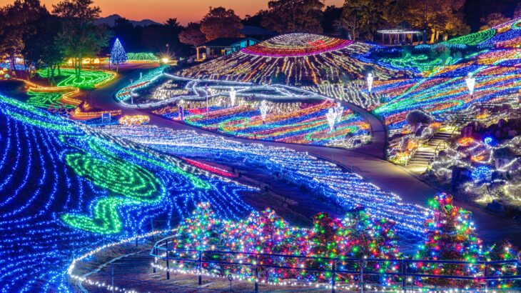 【1月10日催行間近!】冬のイルミネーションとスイーツ満喫! まんのう公園ウィンターファンタジーとチョコレートアフタヌーンティーセット