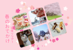 春のおでかけ！（日帰りツアー特集）