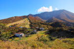 大自然をいただきます！ 木谷沢渓流 と ガイド付き大山ブナ森ウォーク　