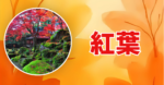 秋から冬のおでかけ！（紅葉特集）