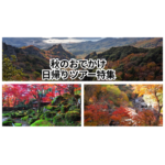 秋のおでかけ！（日帰りツアー特集）