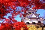 秋を愛でる滋賀の旅 国宝彦根城 と 小堀遠州作名勝庭園石の寺 教林坊秋の特別公開