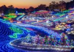 【催行間近】まんのう公園ウィンターファンタジー　と　アンノットのイタリア料理ランチコース